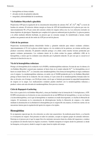 Eritrocito                                                                                                                    22


     • hemoglobina en forma oxidada;
     • elevados niveles de glutatión reducido;
     • integridad y deformabilidad de la membrana.


     Vía Embden–Meyerhof o glucólisis
     Proporciona ATP para la regulación de la concentración intracelular de cationes (Na+, K+, Ca2+, Mg2+) a través de
     bombas de cationes. El eritrocito obtiene energía en forma de ATP del desdoblamiento de la glucosa por esta vía.
     Aproximadamente 90 a 95 por ciento del consumo celular de oxígeno utiliza esta vía. Los eritrocitos normales no
     tienen depósitos de glucógeno. Dependen por completo de la glucosa ambiental para la glucólisis. La glucosa penetra
     a la célula mediante difusión facilitada, un proceso que no consume energía. Es metabolizada a lactato, donde
     produce una ganancia neta de dos moles de ATP por un mol de glucosa.


     Ciclo de las pentosas
     Proporciona nicotinamida-adenina dinucleótido fosfato y glutatión reducido para reducir oxidantes celulares.
     Aproximadamente el 5% de la glucosa celular ingresa a la vía oxidativa de las pentosas, un sistema auxiliar para
     producir coenzimas reducidas. El glutatión reducido protege a la célula contra muchas lesiones producidas por
     agentes oxidantes permanentes. Los oxidantes dentro de la célula oxidan los grupos sulfhidrilo (-SH) de la
     hemoglobina, a menos que los oxidantes sean reducidos por el glutatión reducido. Es por esto que es crucial en el
     eritrocito la función de esta vía.


     Vía de la hemoglobina reductasa
     Protege a la hemoglobina de la oxidación vía la NADH y metahemoglobina reductasa. Se trata de una vía alterna a la
     vía Embden–Meyerhof, esencial para mantener al hierro hem en el estado reducido Fe++. La hemoglobina con el
     hierro en estado férrico, Fe3+, es conocida como metahemoglobina. Esta forma de hemoglobina no logra combinarse
     con el oxígeno. La metahemoglobina reductasa, en unión con el NADH producido por la vía Embden–Meyerhof,
     protege al hierro hemo de la oxidación. Sin este sistema, el 2 por ciento de la metahemoglobina formada todos los
     días se elevaría, con el tiempo, a un 20-40 por ciento, con lo que se limitaría gravemente la capacidad transportadora
     de oxígeno en la sangre. Los medicamentos oxidantes pueden interferir con la metahemoglobina reductasa y
     producir valores aún más elevados de metahemoglobina. Esto provoca cianosis.


     Ciclo de Rapoport–Luebering
     Este ciclo es parte de la vía Embden–Meyerhof, y tiene por finalidad evitar la formación de 3–fosfoglicerato y ATP.
     El DPG está presente en el eritrocito en una concentración de un mol BPG/mol de hemoglobina, y se une con fuerza
     a la desoxihemoglobina, con lo que la hemoglobina se mantiene en estado desoxigenado y se facilita la liberación de
     oxígeno. El incremento en la concentración de difosfoglicerato facilita la liberación de oxígeno a los tejidos
     mediante la disminución en la afinidad de la hemoglobina por el oxígeno.De esta manera, el eritrocito cuenta con un
     mecanismo interno para la regulación del aporte de oxígeno a los tejidos.


     Hemoglobina
     Es un pigmento especial que da a los eritrocitos su color rojo característico. Su molécula posee hierro, y su función
     es el transporte de oxígeno. Está presente en todos los animales, excepto en algunos grupos de animales inferiores.
     Participa en el proceso por el que la sangre lleva los nutrientes necesarios hasta las células del organismo y conduce
     sus productos de desecho hasta los órganos excretores. También transporta el oxígeno desde los pulmones (o desde
     las branquias, en los peces), donde la sangre lo capta, hasta los tejidos del cuerpo.
 