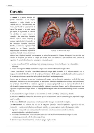 Corazón                                                                                                                      4



    Corazón
    El corazón es el órgano principal del
    aparato circulatorio. Es un órgano
    musculoso y cónico situado en la
    cavidad torácica. Funciona como una
    bomba, impulsando la sangre a todo el
    cuerpo. Su tamaño es un poco mayor
    que el puño de su portador . El corazón
    está dividido en cuatro cámaras o
    cavidades: dos superiores, llamadas
    aurícula derecha (atrio derecho) y
    aurícula izquierda (atrio izquierdo), y
    dos inferiores, llamadas ventrículo
    derecho y ventrículo izquierdo.[1] El
    corazón es un órgano muscular
    autocontrolado, una bomba aspirante e                         El corazón, por Heikenwaelder Hugo.
    impelente, formado por dos bombas en
    paralelo que trabajan al unísono para propulsar la sangre hacia todos los órganos del cuerpo. Las aurículas son
    cámaras de recepción, que envían la sangre que reciben hacia los ventrículos, que funcionan como cámaras de
    expulsión. El corazón derecho recibe sangre poco oxigenada desde:

    • la vena cava inferior (VCI), que transporta la sangre procedente del tórax, el abdomen y las extremidades
      inferiores
    • la vena cava superior (VCS), que recibe la sangre de las extremidades superiores y la cabeza.
    La vena cava inferior y la vena cava superior vierten la sangre poco oxigenada en la aurícula derecha. Esta la
    traspasa al ventrículo derecho a través de la válvula tricúspide, y desde aquí se impulsa hacia los pulmones a través
    de las arterias pulmonares, separadas del ventrículo derecho por la válvula pulmonar.
    Una vez que se oxigena a su paso por los pulmones, la sangre vuelve al corazón izquierdo a través de las venas
    pulmonares, entrando en la aurícula izquierda. De aquí pasa al ventrículo izquierdo, separado de la aurícula izquierda
    por la válvula mitral. Desde el ventrículo izquierdo, la sangre es propulsada hacia la arteria aorta a través de la
    válvula aórtica, para proporcionar oxígeno a todos los tejidos del organismo. Una vez que los diferentes órganos han
    captado el oxígeno de la sangre arterial, la sangre pobre en oxígeno entra en el sistema venoso y retorna al corazón
    derecho.
    El corazón impulsa la sangre mediante los movimientos de sístole (auricular y ventricular) y diástole.
    Se denomina sístole a la contracción del corazón (ya sea de una aurícula o de un ventrículo) para expulsar la sangre
    hacia los tejidos.
    Se denomina diástole a la relajación del corazón para recibir la sangre procedente de los tejidos.
    Un ciclo cardíaco está formado por una fase de relajación y llenado ventricular (diástole) seguida de una fase
    contracción y vaciado ventricular (sístole). Cuando se utiliza un estetoscopio, se pueden distinguir dos ruidos:
    • el primero corresponde a la contracción de los ventrículos con el consecuente cierre de las válvulas
      auriculoventriculares (mitral y tricuspidea);
    • el segundo corresponde a la relajación de los ventrículos con el consecuente retorno de sangre hacia los
      ventrículos y cierre de la válvula pulmonar y aórtica.
    El término cardíaco hace referencia al corazón en griego: καρδια kardia.
 