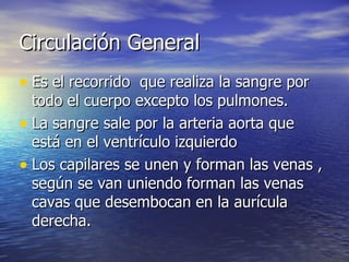 Circulación General Es el recorrido  que realiza la sangre por todo el cuerpo excepto los pulmones. La sangre sale por la arteria aorta que está en el ventrículo izquierdo Los capilares se unen y forman las venas , según se van uniendo forman las venas cavas que desembocan en la aurícula derecha. 