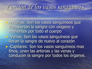 Función de los vasos sanguíneos -Arterias: Son los vasos sanguíneos que transportan la sangre con oxígeno y nutrientes por todo el cuerpo -Venas: Son los vasos sanguíneos que llevan la sangre de nuevo al corazón -Capilares: Son los vasos sanguíneos mas finos, unen las arterias y las venas y conducen la sangre por todos los órganos. 
