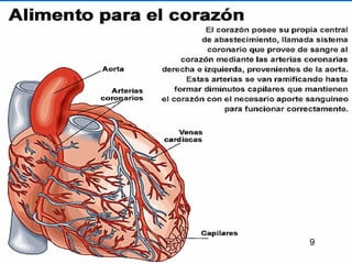 Aparato Circulatorio