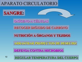 Aparato Circulatorio