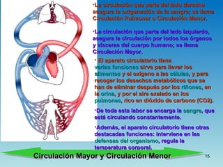 Aparato Circulatorio