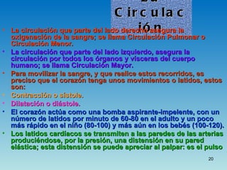 Aparato Circulatorio
