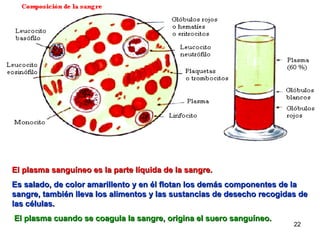 El plasma sanguíneo es la parte líquida de la sangre.
Es salado, de color amarillento y en él flotan los demás componentes de la
sangre, también lleva los alimentos y las sustancias de desecho recogidas de
las células.
El plasma cuando se coagula la sangre, origina el suero sanguíneo.
                                                                        22
 