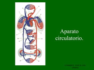 Aparato
circulatorio.



    COMBISOL CEIP EL SOL
          (Madrid)
 