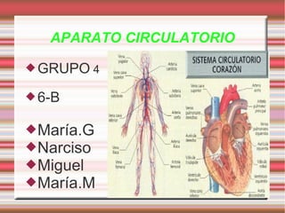 APARATO CIRCULATORIO

 GRUPO 4

 6-B


 María.G
 Narciso
 Miguel
 María.M
 