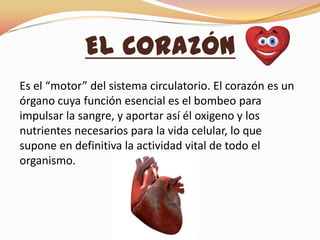 El Corazón
Es el “motor” del sistema circulatorio. El corazón es un
órgano cuya función esencial es el bombeo para
impulsar la sangre, y aportar así él oxigeno y los
nutrientes necesarios para la vida celular, lo que
supone en definitiva la actividad vital de todo el
organismo.
 