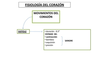 FISIOLOGÍA DEL CORAZÓN
MOVIMIENTOS DEL
CORAZÓN
SISTOLE • duración : 0.3”
•ESTADO DE:
• contracción
• bombeo
• expulsión
• presión
SANGRE
 