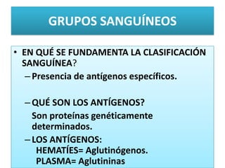GRUPOS SANGUÍNEOS
• EN QUÉ SE FUNDAMENTA LA CLASIFICACIÓN
SANGUÍNEA?
–Presencia de antígenos específicos.
–QUÉ SON LOS ANTÍGENOS?
Son proteínas genéticamente
determinados.
–LOS ANTÍGENOS:
HEMATÍES= Aglutinógenos.
PLASMA= Aglutininas
 