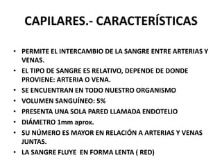 CAPILARES.- CARACTERÍSTICAS
• PERMITE EL INTERCAMBIO DE LA SANGRE ENTRE ARTERIAS Y
VENAS.
• EL TIPO DE SANGRE ES RELATIVO, DEPENDE DE DONDE
PROVIENE: ARTERIA O VENA.
• SE ENCUENTRAN EN TODO NUESTRO ORGANISMO
• VOLUMEN SANGUÍNEO: 5%
• PRESENTA UNA SOLA PARED LLAMADA ENDOTELIO
• DIÁMETRO 1mm aprox.
• SU NÚMERO ES MAYOR EN RELACIÓN A ARTERIAS Y VENAS
JUNTAS.
• LA SANGRE FLUYE EN FORMA LENTA ( RED)
 