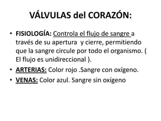 VÁLVULAS del CORAZÓN:
• FISIOLOGÍA: Controla el flujo de sangre a
través de su apertura y cierre, permitiendo
que la sangre circule por todo el organismo. (
El flujo es unidireccional ).
• ARTERIAS: Color rojo .Sangre con oxígeno.
• VENAS: Color azul. Sangre sin oxígeno
 