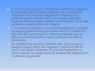 





• Circulación mayor o circulación sistémica o general.
El recorrido de la sangre comienza en el ventrículo
izquierdo del corazón, cargada de oxígeno, y se
extiende por la arteria aorta y sus ramas arteriales
hasta el sistema capilar, donde se forman las venas que
contienen sangre pobre en oxígeno.
• Circulación menor o circulación pulmonar o central.
La sangre pobre en oxígeno parte desde el ventrículo
derecho del corazón por la arteria pulmonar que se
bifurca en sendos troncos para cada uno de ambos
pulmones.
En realidad no son dos circuitos sino uno, ya que la
sangre aunque parte del corazón y regresa a éste lo
hace a cavidades distintas. El circuito verdadero se
cierra cuando la sangre pasa de la aurícula izquierda al
ventrículo izquierdo.

 