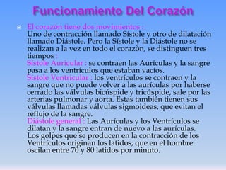 

El corazón tiene dos movimientos :
Uno de contracción llamado Sístole y otro de dilatación
llamado Diástole. Pero la Sístole y la Diástole no se
realizan a la vez en todo el corazón, se distinguen tres
tiempos :
Sístole Auricular : se contraen las Aurículas y la sangre
pasa a los ventrículos que estaban vacíos.
Sístole Ventricular : los ventrículos se contraen y la
sangre que no puede volver a las aurículas por haberse
cerrado las válvulas bicúspide y tricúspide, sale por las
arterias pulmonar y aorta. Estas también tienen sus
válvulas llamadas válvulas sigmoideas, que evitan el
reflujo de la sangre.
Diástole general : Las Aurículas y los Ventrículos se
dilatan y la sangre entran de nuevo a las aurículas.
Los golpes que se producen en la contracción de los
Ventrículos originan los latidos, que en el hombre
oscilan entre 70 y 80 latidos por minuto.

 