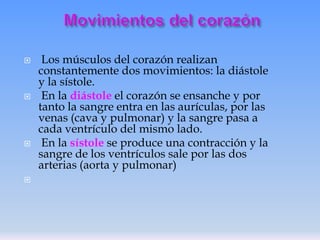 







Los músculos del corazón realizan
constantemente dos movimientos: la diástole
y la sístole.
En la diástole el corazón se ensanche y por
tanto la sangre entra en las aurículas, por las
venas (cava y pulmonar) y la sangre pasa a
cada ventrículo del mismo lado.
En la sístole se produce una contracción y la
sangre de los ventrículos sale por las dos
arterias (aorta y pulmonar)

 
