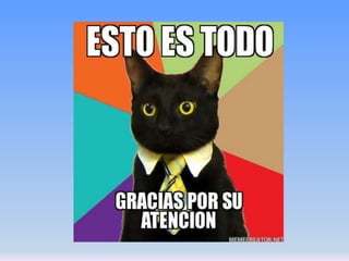 Aparato circulatorio