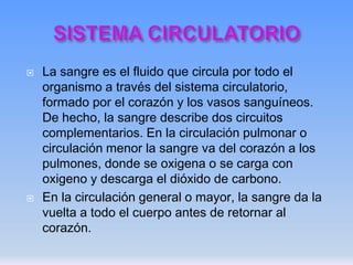 



La sangre es el fluido que circula por todo el
organismo a través del sistema circulatorio,
formado por el corazón y los vasos sanguíneos.
De hecho, la sangre describe dos circuitos
complementarios. En la circulación pulmonar o
circulación menor la sangre va del corazón a los
pulmones, donde se oxigena o se carga con
oxigeno y descarga el dióxido de carbono.
En la circulación general o mayor, la sangre da la
vuelta a todo el cuerpo antes de retornar al
corazón.

 