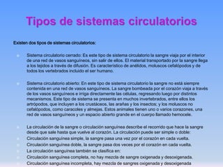 Existen dos tipos de sistemas circulatorios:












Sistema circulatorio cerrado: Es este tipo de sistema circulatorio la sangre viaja por el interior
de una red de vasos sanguíneos, sin salir de ellos. El material transportado por la sangre llega
a los tejidos a través de difusión. Es característico de anélidos, moluscos cefalópodos y de
todos los vertebrados incluido el ser humano.
Sistema circulatorio abierto: En este tipo de sistema circulatorio la sangre no está siempre
contenida en una red de vasos sanguíneos. La sangre bombeada por el corazón viaja a través
de los vasos sanguíneos e irriga directamente las células, regresando luego por distintos
mecanismos. Este tipo de sistema se presenta en muchos invertebrados, entre ellos los
artrópodos, que incluyen a los crustáceos, las arañas y los insectos; y los moluscos no
cefalópodos, como caracoles y almejas. Estos animales tienen uno o varios corazones, una
red de vasos sanguíneos y un espacio abierto grande en el cuerpo llamado hemocele.
La circulación de la sangre o circulación sanguínea describe el recorrido que hace la sangre
desde que sale hasta que vuelve al corazón. La circulación puede ser simple o doble:
Circulación sanguínea simple, la sangre pasa una vez por el corazón en cada vuelta.
Circulación sanguínea doble, la sangre pasa dos veces por el corazón en cada vuelta.
La circulación sanguínea también se clasifica en:
Circulación sanguínea completa, no hay mezcla de sangre oxigenada y desoxigenada.
Circulación sanguínea incompleta, hay mezcla de sangres oxigenada y desoxigenada

 