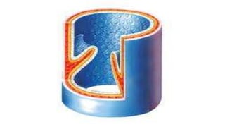 Histología Vascular (leeson)