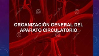ORGANIZACIÓN GENERAL DEL
APARATO CIRCULATORIO
 