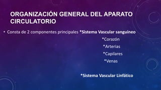 ORGANIZACIÓN GENERAL DEL APARATO
CIRCULATORIO
• Consta de 2 componentes principales *Sistema Vascular sanguíneo
*Corazón
*Arterias
*Capilares
*Venas
*Sistema Vascular Linfático
 