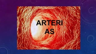 ARTERI
AS
 