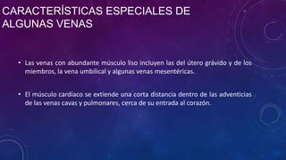 CARACTERÍSTICAS ESPECIALES DE
ALGUNAS VENAS
• Las venas con abundante músculo liso incluyen las del útero grávido y de los
miembros, la vena umbilical y algunas venas mesentéricas.
• El músculo cardíaco se extiende una corta distancia dentro de las adventicias
de las venas cavas y pulmonares, cerca de su entrada al corazón.
 
