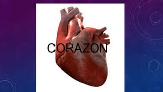 CORAZON
 