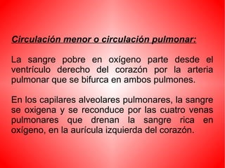 Circulación menor o circulación pulmonar:
La sangre pobre en oxígeno parte desde el
ventrículo derecho del corazón por la arteria
pulmonar que se bifurca en ambos pulmones.
En los capilares alveolares pulmonares, la sangre
se oxigena y se reconduce por las cuatro venas
pulmonares que drenan la sangre rica en
oxígeno, en la aurícula izquierda del corazón.
 