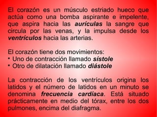 El corazón es un músculo estriado hueco que
actúa como una bomba aspirante e impelente,
que aspira hacia las aurículas la sangre que
circula por las venas, y la impulsa desde los
ventrículos hacia las arterias.
El corazón tiene dos movimientos:

Uno de contracción llamado sístole

Otro de dilatación llamado diástole
La contracción de los ventrículos origina los
latidos y el número de latidos en un minuto se
denomina frecuencia cardíaca. Está situado
prácticamente en medio del tórax, entre los dos
pulmones, encima del diafragma.
 