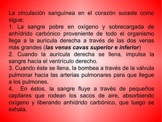 La circulación sanguínea en el corazón sucede como
sigue:
1. La sangre pobre en oxígeno y sobrecargada de
anhídrido carbónico proveniente de todo el organismo
llega a la aurícula derecha a través de las dos venas
más grandes (las venas cavas superior e inferior)
2. Cuando la aurícula derecha se llena, impulsa la
sangre hacia el ventrículo derecho.
3. Cuando éste se llena, la bombea a través de la válvula
pulmonar hacia las arterias pulmonares para que llegue
a los pulmones.
4. En éstos, la sangre fluye a través de pequeños
capilares que rodean los sacos de aire, absorbiendo
oxígeno y liberando anhídrido carbónico, que luego se
exhala.
 