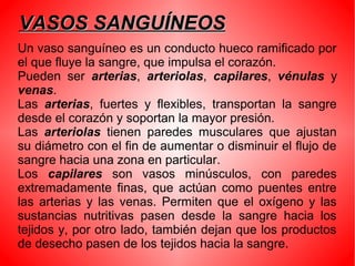 VASOS SANGUÍNEOSVASOS SANGUÍNEOS
Un vaso sanguíneo es un conducto hueco ramificado por
el que fluye la sangre, que impulsa el corazón.
Pueden ser arterias, arteriolas, capilares, vénulas y
venas.
Las arterias, fuertes y flexibles, transportan la sangre
desde el corazón y soportan la mayor presión.
Las arteriolas tienen paredes musculares que ajustan
su diámetro con el fin de aumentar o disminuir el flujo de
sangre hacia una zona en particular.
Los capilares son vasos minúsculos, con paredes
extremadamente finas, que actúan como puentes entre
las arterias y las venas. Permiten que el oxígeno y las
sustancias nutritivas pasen desde la sangre hacia los
tejidos y, por otro lado, también dejan que los productos
de desecho pasen de los tejidos hacia la sangre.
 
