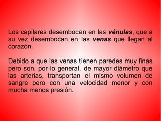 Los capilares desembocan en las vénulas, que a
su vez desembocan en las venas que llegan al
corazón.
Debido a que las venas tienen paredes muy finas
pero son, por lo general, de mayor diámetro que
las arterias, transportan el mismo volumen de
sangre pero con una velocidad menor y con
mucha menos presión.
 