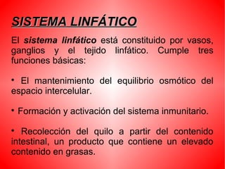 SISTEMA LINFÁTICOSISTEMA LINFÁTICO
El sistema linfático está constituido por vasos,
ganglios y el tejido linfático. Cumple tres
funciones básicas:

El mantenimiento del equilibrio osmótico del
espacio intercelular.

Formación y activación del sistema inmunitario.

Recolección del quilo a partir del contenido
intestinal, un producto que contiene un elevado
contenido en grasas.
 