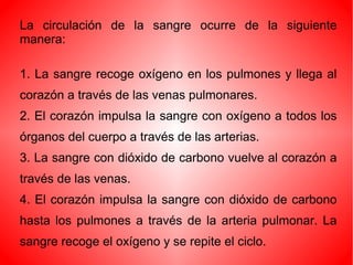 La circulación de la sangre ocurre de la siguiente
manera:
1. La sangre recoge oxígeno en los pulmones y llega al
corazón a través de las venas pulmonares.
2. El corazón impulsa la sangre con oxígeno a todos los
órganos del cuerpo a través de las arterias.
3. La sangre con dióxido de carbono vuelve al corazón a
través de las venas.
4. El corazón impulsa la sangre con dióxido de carbono
hasta los pulmones a través de la arteria pulmonar. La
sangre recoge el oxígeno y se repite el ciclo.
 