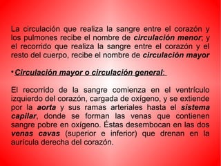 La circulación que realiza la sangre entre el corazón y
los pulmones recibe el nombre de circulación menor; y
el recorrido que realiza la sangre entre el corazón y el
resto del cuerpo, recibe el nombre de circulación mayor

Circulación mayor o circulación general:
El recorrido de la sangre comienza en el ventrículo
izquierdo del corazón, cargada de oxígeno, y se extiende
por la aorta y sus ramas arteriales hasta el sistema
capilar, donde se forman las venas que contienen
sangre pobre en oxígeno. Éstas desembocan en las dos
venas cavas (superior e inferior) que drenan en la
aurícula derecha del corazón.
 