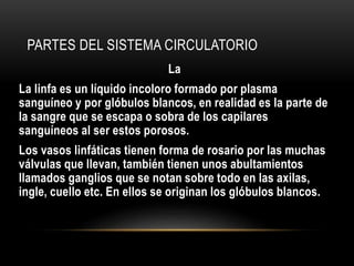 PARTES DEL SISTEMA CIRCULATORIO 
La 
La linfa es un líquido incoloro formado por plasma 
sanguíneo y por glóbulos blancos, en realidad es la parte de 
la sangre que se escapa o sobra de los capilares 
sanguíneos al ser estos porosos. 
Los vasos linfáticas tienen forma de rosario por las muchas 
válvulas que llevan, también tienen unos abultamientos 
llamados ganglios que se notan sobre todo en las axilas, 
ingle, cuello etc. En ellos se originan los glóbulos blancos. 
 