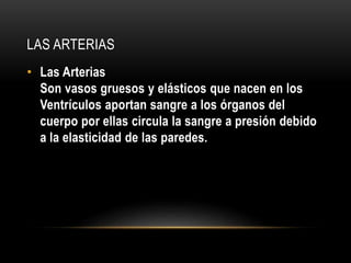 LAS ARTERIAS 
• Las Arterias 
Son vasos gruesos y elásticos que nacen en los 
Ventrículos aportan sangre a los órganos del 
cuerpo por ellas circula la sangre a presión debido 
a la elasticidad de las paredes. 
 