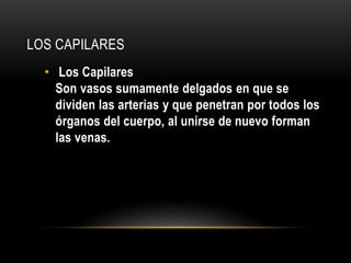 LOS CAPILARES 
• Los Capilares 
Son vasos sumamente delgados en que se 
dividen las arterias y que penetran por todos los 
órganos del cuerpo, al unirse de nuevo forman 
las venas. 
 