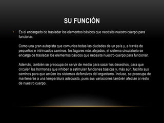 SU FUNCIÓN 
• Es el encargado de trasladar los elementos básicos que necesita nuestro cuerpo para 
funcionar. 
Como una gran autopista que comunica todas las ciudades de un país y, a través de 
pequeños e intrincados caminos, los lugares más alejados, el sistema circulatorio se 
encarga de trasladar los elementos básicos que necesita nuestro cuerpo para funcionar. 
Además, también se preocupa de servir de medio para sacar los desechos, para que 
circulen las hormonas que inhiben o estimulan funciones básicas y, más aún, facilita sus 
caminos para que actúen los sistemas defensivos del organismo. Incluso, se preocupa de 
mantenerse a una temperatura adecuada, pues sus variaciones también afectan al resto 
de nuestro cuerpo. 
 
