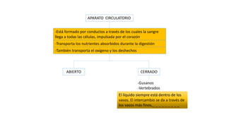 APARATO CIRCULATORIO
-Está formado por conductos a través de los cuales la sangre
llega a todas las células, impulsada por el corazón
-Transporta los nutrientes absorbidos durante la digestión
-También transporta el oxígeno y los deshechos
ABIERTO CERRADO
-Gusanos
-Vertebrados
El líquido siempre está dentro de los
vasos. El intercambio se da a través de
los vasos más finos,_ _ _ _ _ _ _ _ _
 