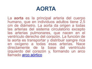 AORTA
La aorta es la principal arteria del cuerpo
humano, que en individuos adultos tiene 2,5
cm de diámetro. La aorta da origen a todas
las arterias del sistema circulatorio excepto
las arterias pulmonares, que nacen en el
ventrículo derecho del corazón. La función de
la aorta es transportar y distribuir sangre rica
en oxígeno a todas esas arterias. Nace
directamente de la base del ventrículo
izquierdo del corazón y, formando un arco
llamado arco aórtico
 