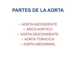 PARTES DE LA AORTA
• AORTA ASCENDENTE
• ARCO AORTICO
• AORTA DESCENDENTE
• AORTA TORACICA
• AORTA ABDOMINAL
 