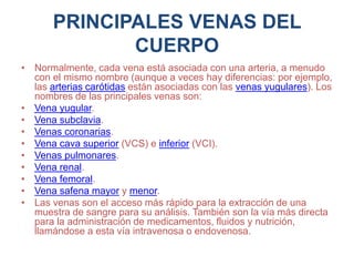 PRINCIPALES VENAS DEL
CUERPO
• Normalmente, cada vena está asociada con una arteria, a menudo
con el mismo nombre (aunque a veces hay diferencias: por ejemplo,
las arterias carótidas están asociadas con las venas yugulares). Los
nombres de las principales venas son:
• Vena yugular.
• Vena subclavia.
• Venas coronarias.
• Vena cava superior (VCS) e inferior (VCI).
• Venas pulmonares.
• Vena renal.
• Vena femoral.
• Vena safena mayor y menor.
• Las venas son el acceso más rápido para la extracción de una
muestra de sangre para su análisis. También son la vía más directa
para la administración de medicamentos, fluidos y nutrición,
llamándose a esta vía intravenosa o endovenosa.
 