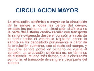 CIRCULACION MAYOR
La circulación sistémica o mayor es la circulación
de la sangre a todas las partes del cuerpo,
excepto los pulmones. La circulación sistémica es
la parte del sistema cardiovascular que transporta
la sangre oxigenada desde el corazón a través de
la aorta desde el ventrículo izquierdo donde la
sangre se ha depositado previamente a partir de
la circulación pulmonar, con el resto del cuerpo, y
devuelve sangre pobre en oxígeno de vuelta al
corazón. La circulación sistémica es, en términos
de distancia, mucho más tiempo que la circulación
pulmonar, el transporte de sangre a cada parte del
cuerpo.
 