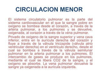CIRCULACION MENOR
El sistema circulatorio pulmonar es la parte del
sistema cardiovascular en el que la sangre pobre en
oxígeno se bombea desde el corazón, a través de la
arteria pulmonar, a los pulmones y se devuelve,
oxigenada, al corazón a través de la vena pulmonar.
Privado de oxígeno de la sangre superior y vena cava
inferior, entra en la aurícula derecha del corazón y
fluye a través de la válvula tricúspide (válvula atrio
ventricular derecha) en el ventrículo derecho, desde el
cual se bombea a través de la válvula semilunar
pulmonar en la arteria pulmonar a los pulmones. El
intercambio de gases se produce en los pulmones,
mediante el cual se libera CO2 de la sangre, y el
oxígeno se absorbe. La vena pulmonar devuelve la
sangre ya oxigenada a la aurícula izquierda.
 