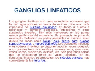 GANGLIOS LINFATICOS
Los ganglios linfáticos son unas estructuras nodulares que
forman agrupaciones en forma de racimos. Son una parte
importante del sistema inmunitario, ayudando al cuerpo a
reconocer y combatir gérmenes, infecciones y otras
sustancias extrañas. Son más numerosos en las partes
menos periféricas del organismo. Su presencia se pone de
manifiesto fácilmente en partes accesibles al examen físico
directo en zonas como axilas, ingle, cuello, cara, huecos
supraclaviculares y huecos poplíteos. Los conductos linfáticos
y los nódulos linfoideos se disponen muchas veces rodeando
a los grandes troncos arteriales y venosos aorta, vena cava,
vasos ilíacos, subclavios, axilares, etc. Son pequeñas bolsas
que se encuentran entre los vasos linfáticos. En los
conductos linfáticos se almacenan los glóbulos blancos, más
concretamente los linfocitos.
 