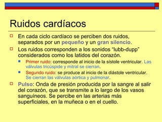 Ruidos cardíacos
 En cada ciclo cardíaco se perciben dos ruidos,
separados por un pequeño y un gran silencio.
 Los ruidos corresponden a los sonidos “lubb-dupp”
considerados como los latidos del corazón.
 Primer ruido: corresponde al inicio de la sístole ventricular. Las
válvulas tricúspide y mitral se cierran.
 Segundo ruido: se produce al inicio de la diástole ventricular.
Se cierran las válvulas aórtica y pulmonar.
 Pulso: Onda de presión producida por la sangre al salir
del corazón, que se transmite a lo largo de los vasos
sanguíneos. Se percibe en las arterias más
superficiales, en la muñeca o en el cuello.
 