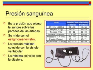 Presión sanguínea
 Es la presión que ejerce
la sangre sobre las
paredes de las arterias.
 Se mide con el
esfigmomanómetro.
 La presión máxima
coincide con la sístole
ventricular.
 La mínima coincide con
la diástole.
 