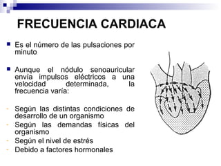 FRECUENCIA CARDIACA
 Es el número de las pulsaciones por
minuto
 Aunque el nódulo senoauricular
envía impulsos eléctricos a una
velocidad determinada, la
frecuencia varía:
- Según las distintas condiciones de
desarrollo de un organismo
- Según las demandas físicas del
organismo
- Según el nivel de estrés
- Debido a factores hormonales
 